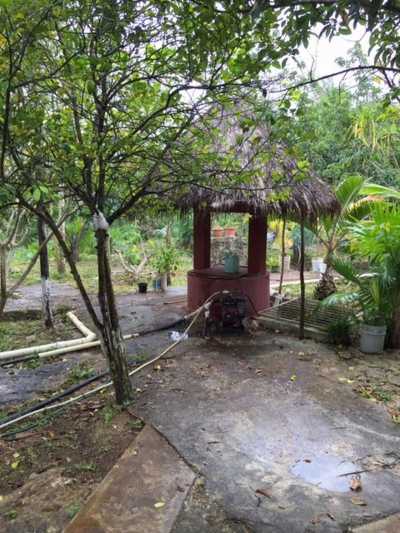 Development Site For Sale in Benito Juarez, Mexico