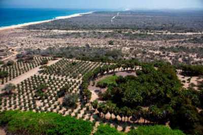 Development Site For Sale in Baja California Sur, Mexico
