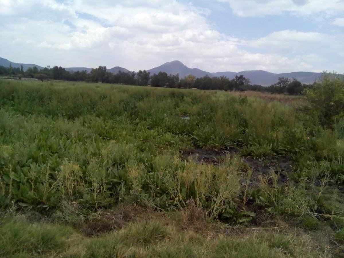 Picture of Residential Land For Sale in Atotonilco De Tula, Hidalgo, Mexico
