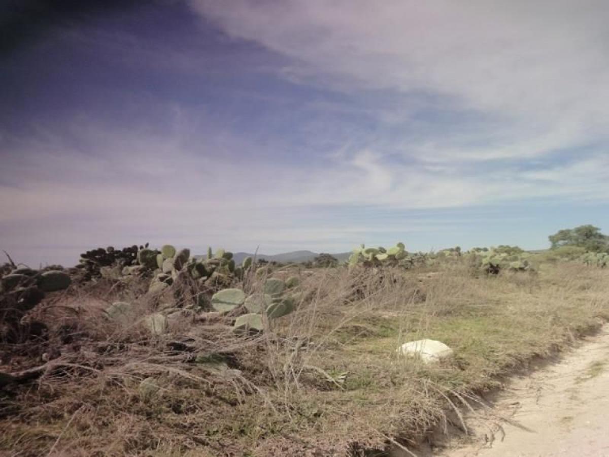 Picture of Residential Land For Sale in Villa De Tezontepec, Hidalgo, Mexico