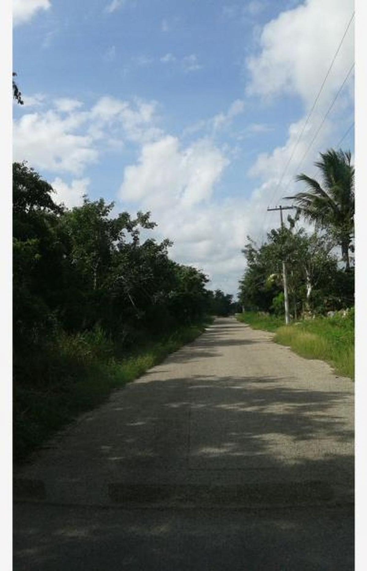 Picture of Residential Land For Sale in Chicxulub Pueblo, Yucatan, Mexico