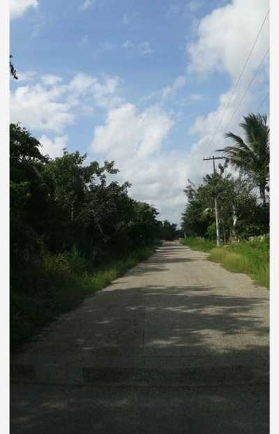 Residential Land For Sale in Chicxulub Pueblo, Mexico
