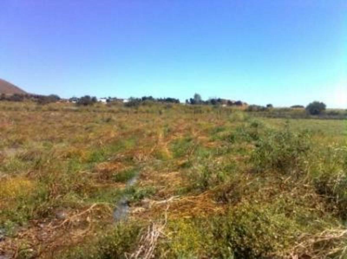 Picture of Residential Land For Sale in Ayala, Morelos, Mexico
