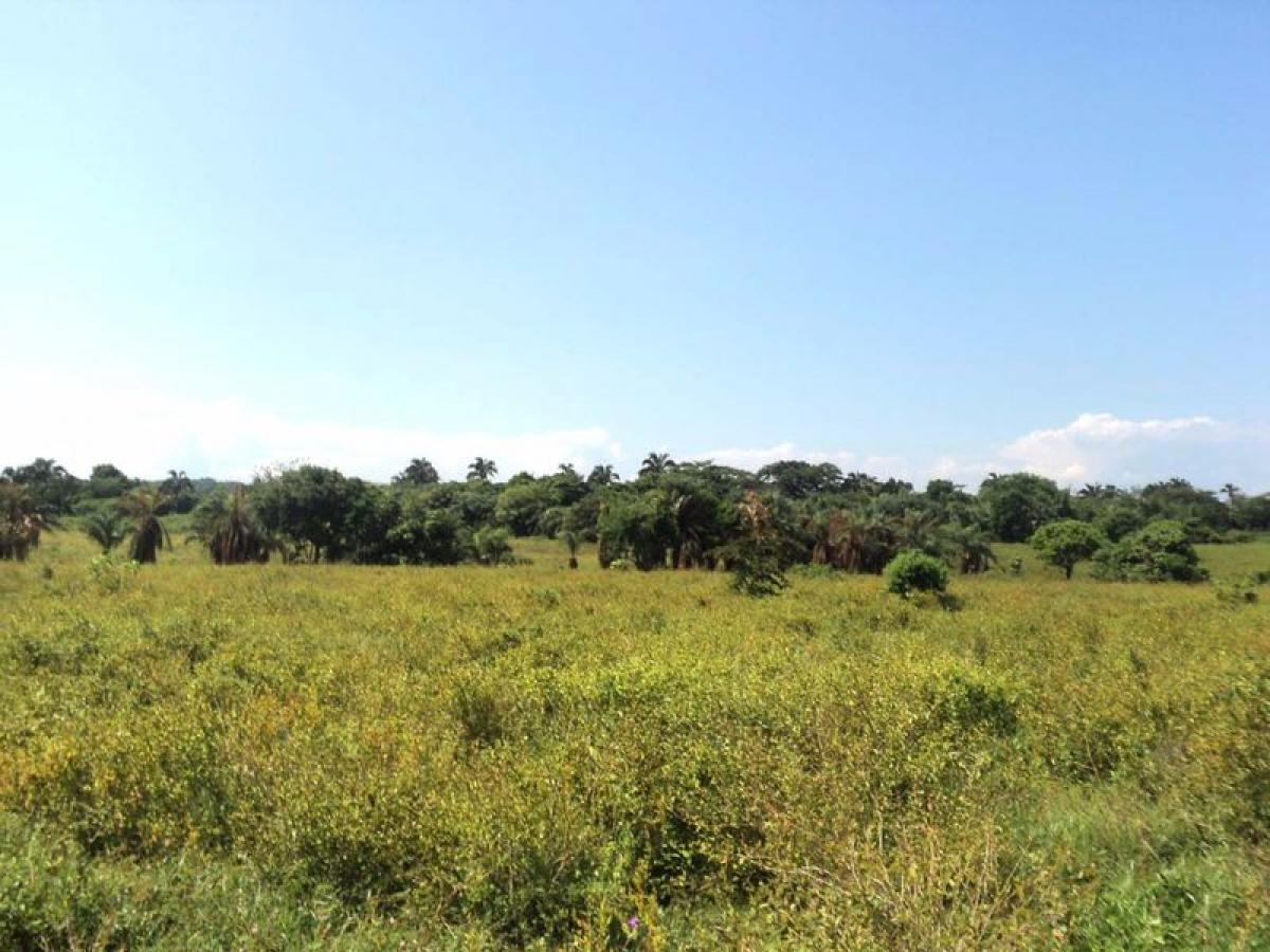 Picture of Development Site For Sale in Veracruz De Ignacio De La Llave, Veracruz, Mexico