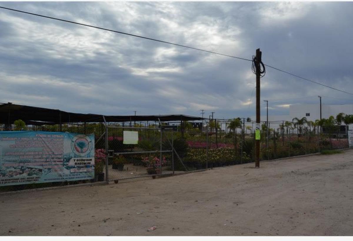 Picture of Residential Land For Sale in La Paz, Baja California Sur, Mexico