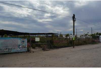 Residential Land For Sale in La Paz, Mexico