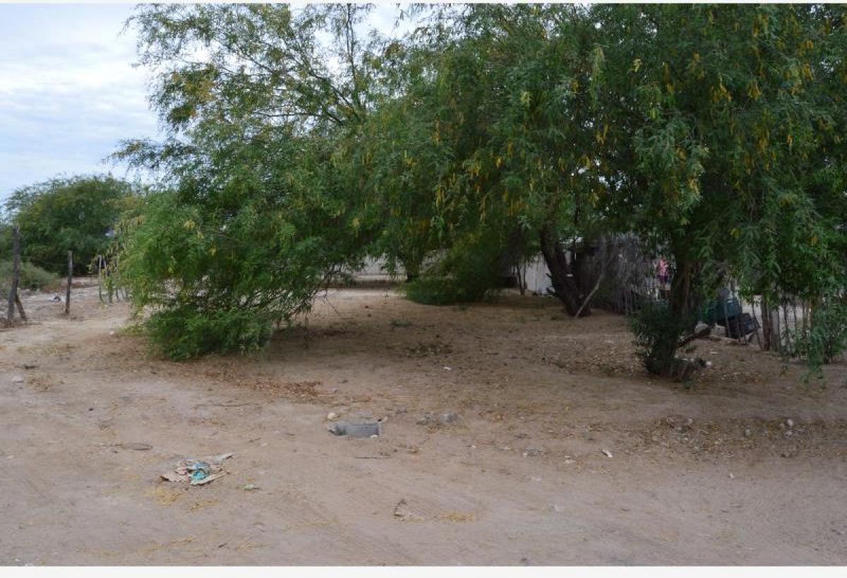 Picture of Residential Land For Sale in La Paz, Baja California Sur, Mexico