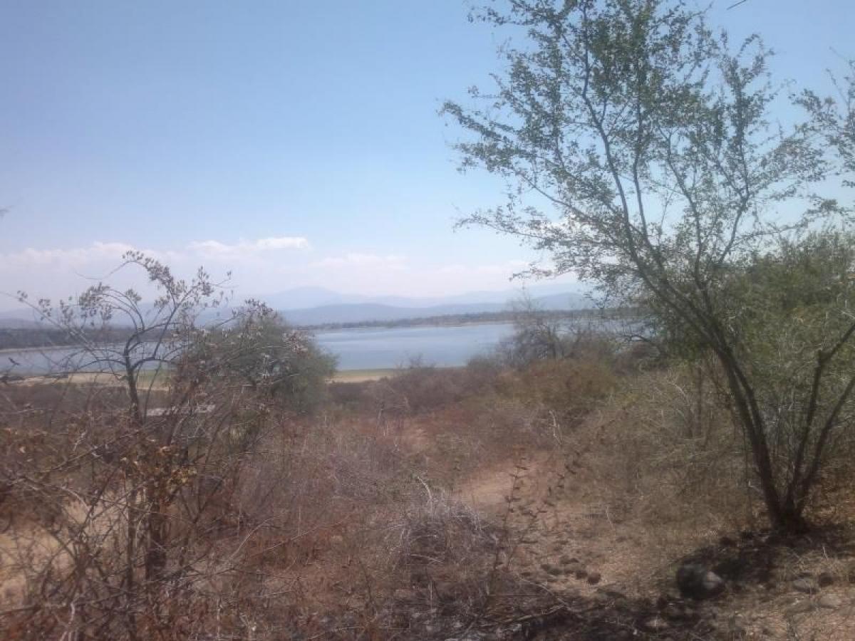Picture of Residential Land For Sale in Miacatlan, Morelos, Mexico