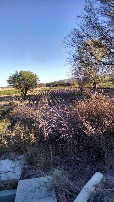 Development Site For Sale in Aguascalientes, Mexico