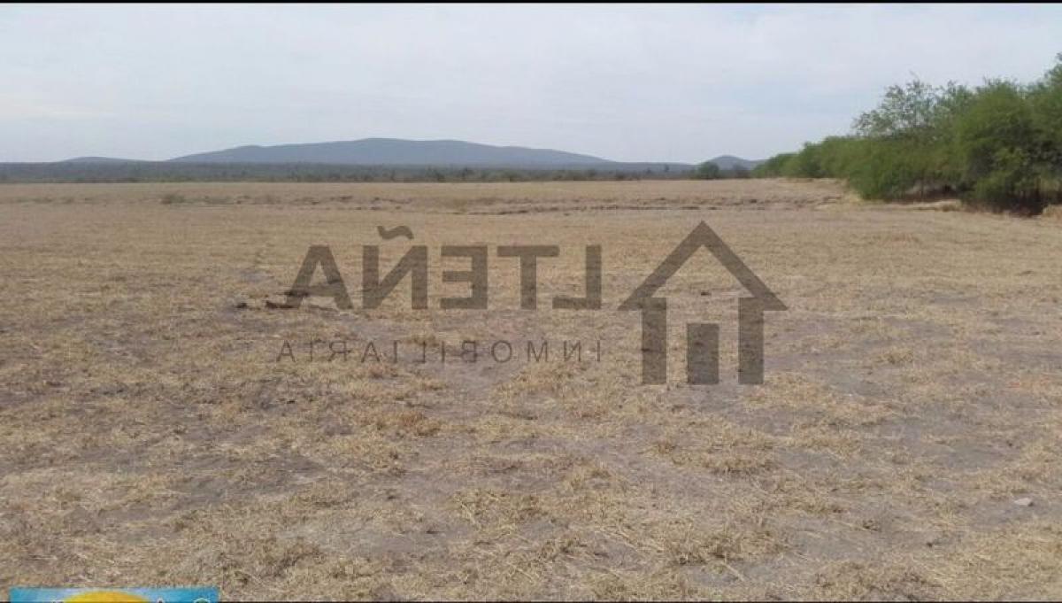 Picture of Residential Land For Sale in San Luis Potosi, San Luis Potosi, Mexico