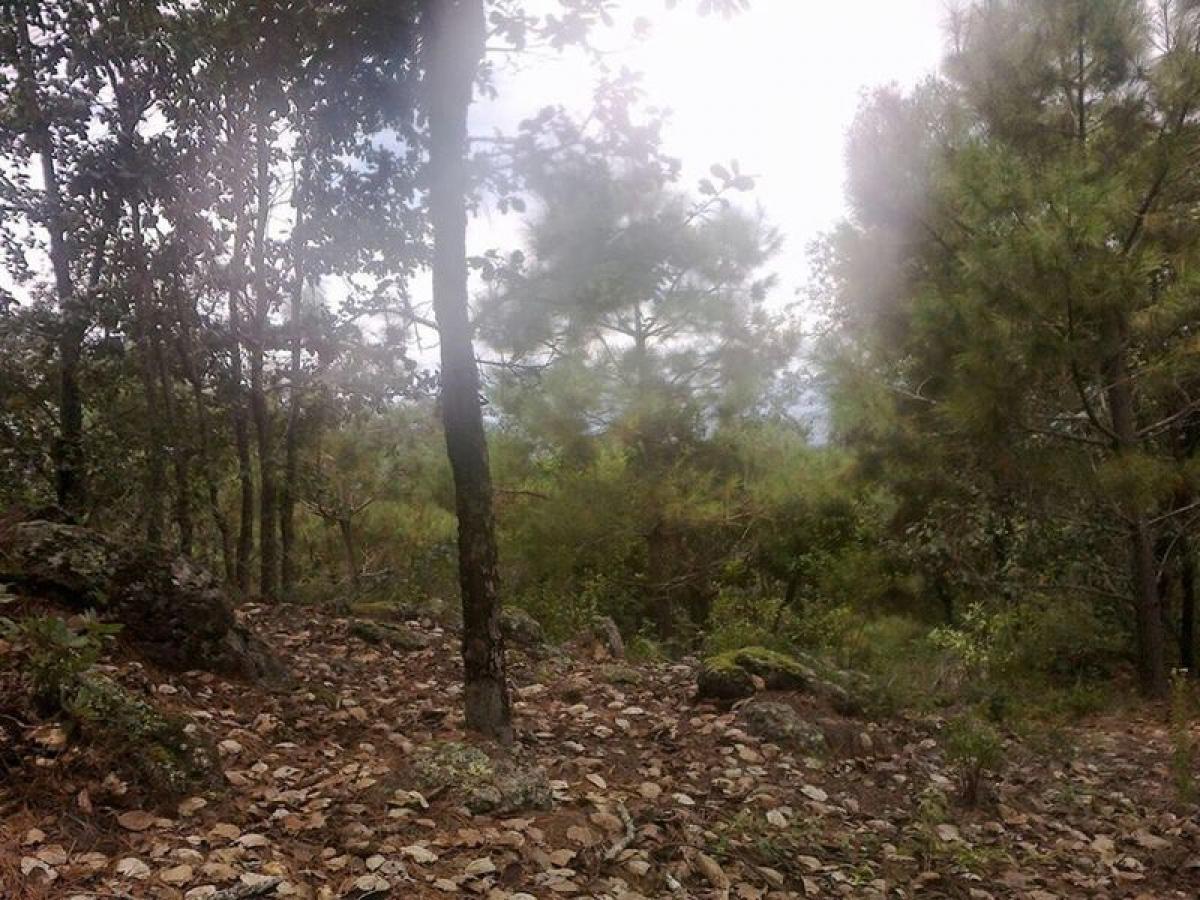 Picture of Residential Land For Sale in Armadillo De Los Infante, San Luis Potosi, Mexico
