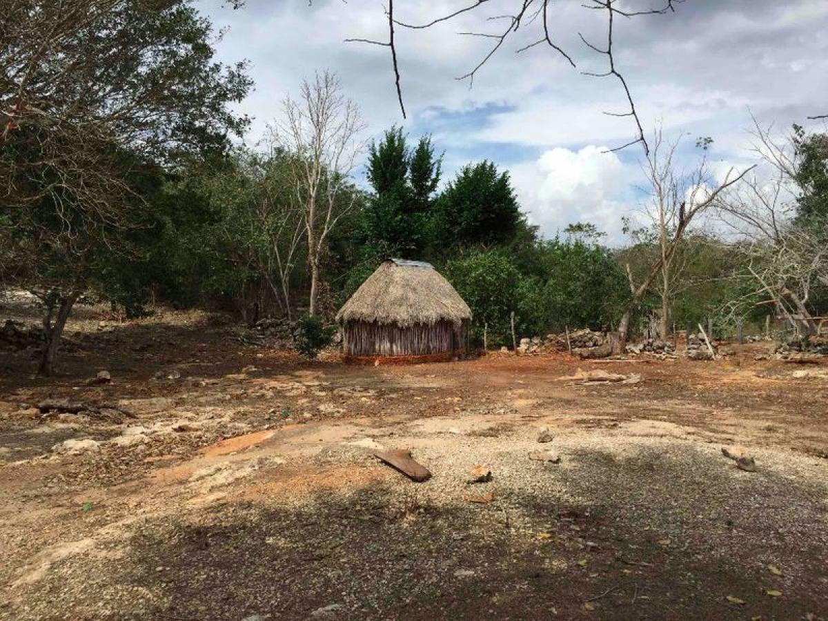 Picture of Development Site For Sale in Cantamayec, Yucatan, Mexico