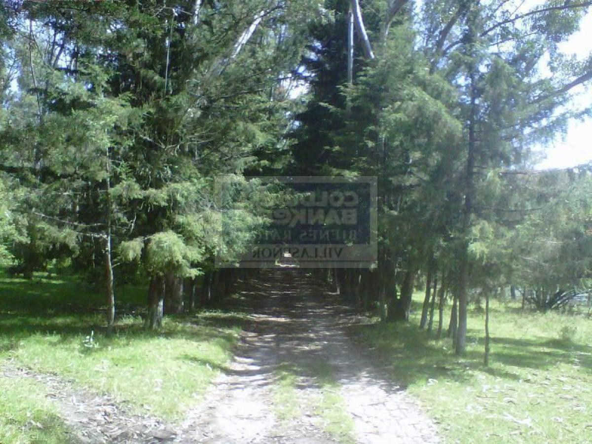 Picture of Apartment Building For Sale in Villa Victoria, Mexico, Mexico