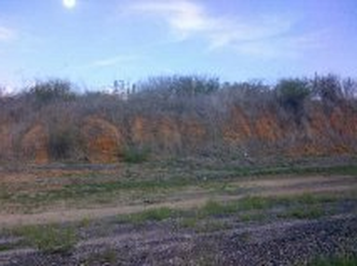 Picture of Residential Land For Sale in Elota, Sinaloa, Mexico
