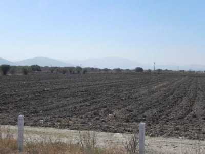 Residential Land For Sale in Lerdo, Mexico