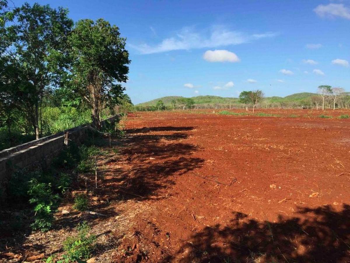 Picture of Development Site For Sale in Oxkutzcab, Yucatan, Mexico