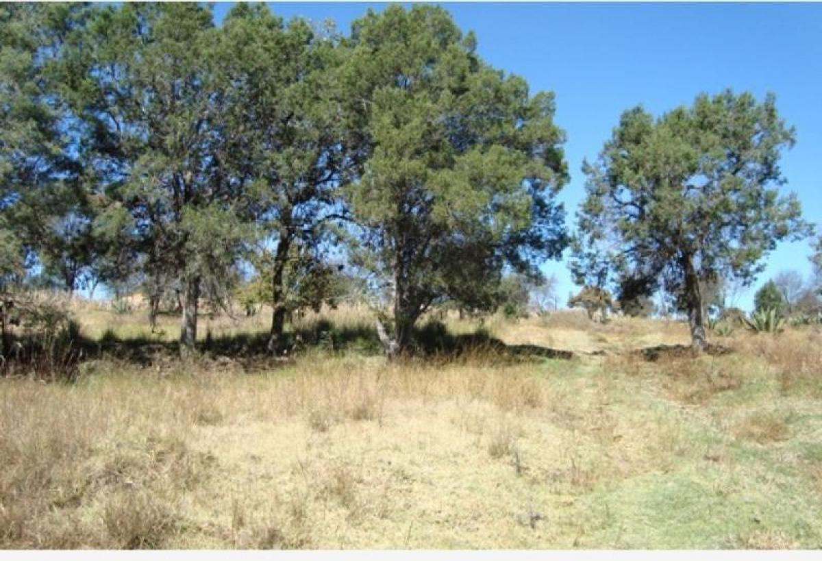 Picture of Residential Land For Sale in Yauhquemehcan, Tlaxcala, Mexico