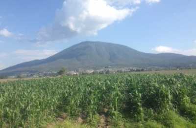 Development Site For Sale in 