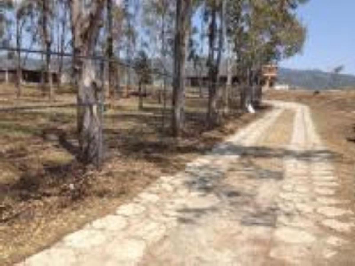 Picture of Residential Land For Sale in Ixtapan De La Sal, Mexico, Mexico