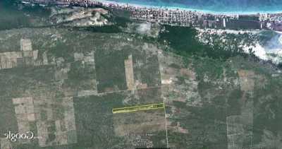 Residential Land For Sale in Telchac Puerto, Mexico