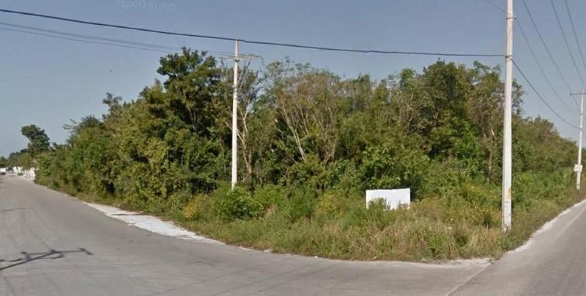 Picture of Residential Land For Sale in Benito Juarez, Mexico City, Mexico