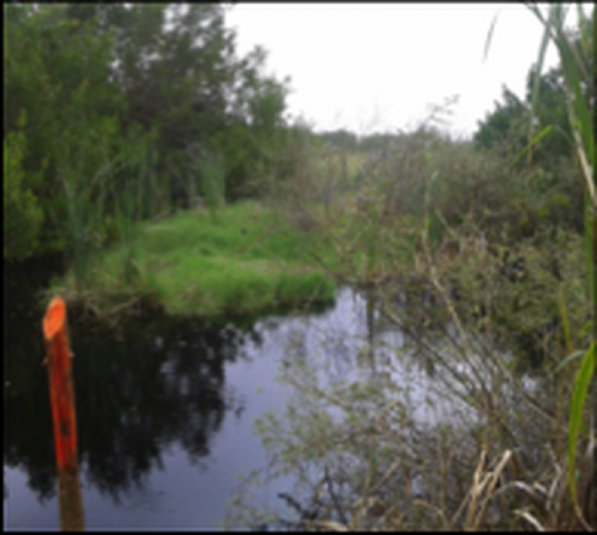 Picture of Residential Land For Sale in Ciudad Madero, Tamaulipas, Mexico