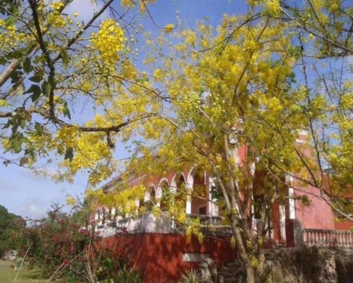 Picture of Development Site For Sale in Yucatan, Yucatan, Mexico