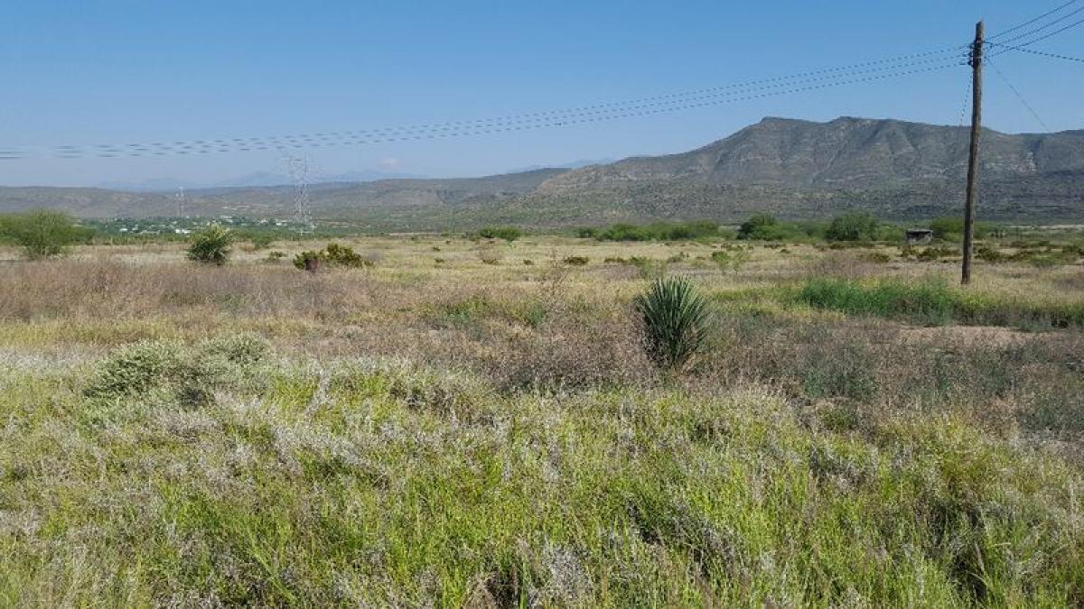 Picture of Residential Land For Sale in Playa Vicente, Veracruz, Mexico