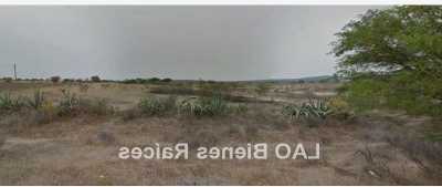 Residential Land For Sale in