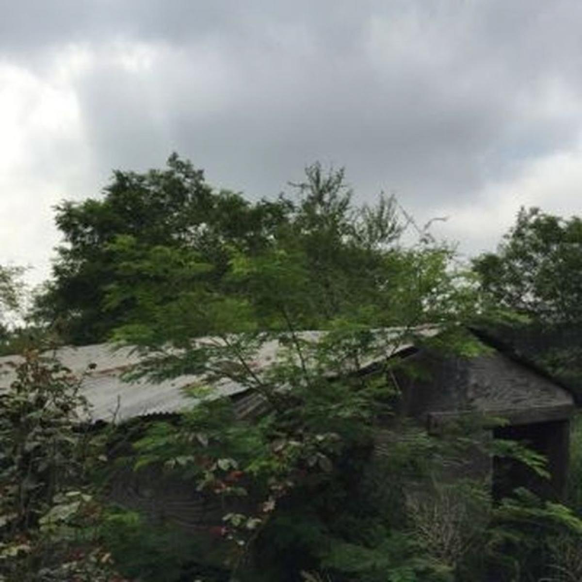 Picture of Residential Land For Sale in Montemorelos, Nuevo Leon, Mexico