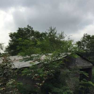 Residential Land For Sale in Montemorelos, Mexico