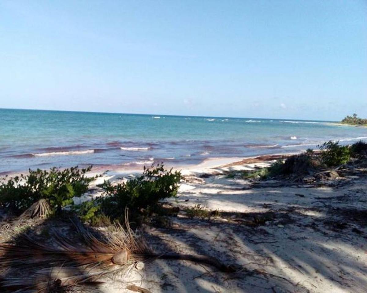 Picture of Residential Land For Sale in Quintana Roo, Quintana Roo, Mexico