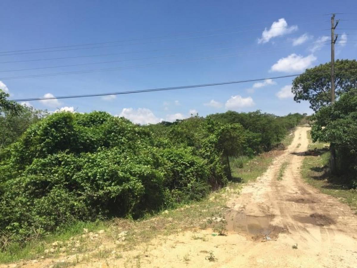Picture of Residential Land For Sale in Ocozocoautla De Espinosa, Chiapas, Mexico