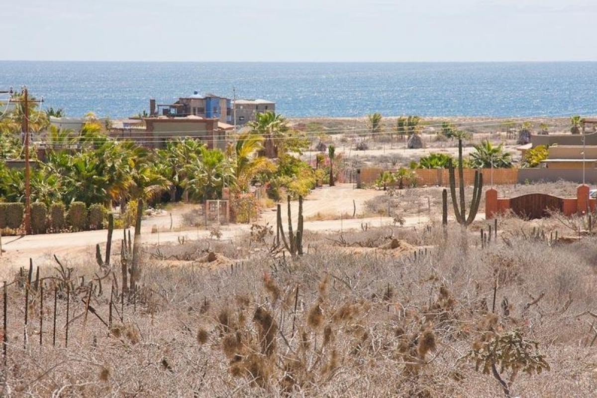 Picture of Residential Land For Sale in Baja California Sur, Baja California Sur, Mexico