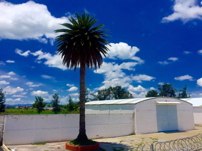 Penthouse For Sale in Tlaxcoapan, Mexico