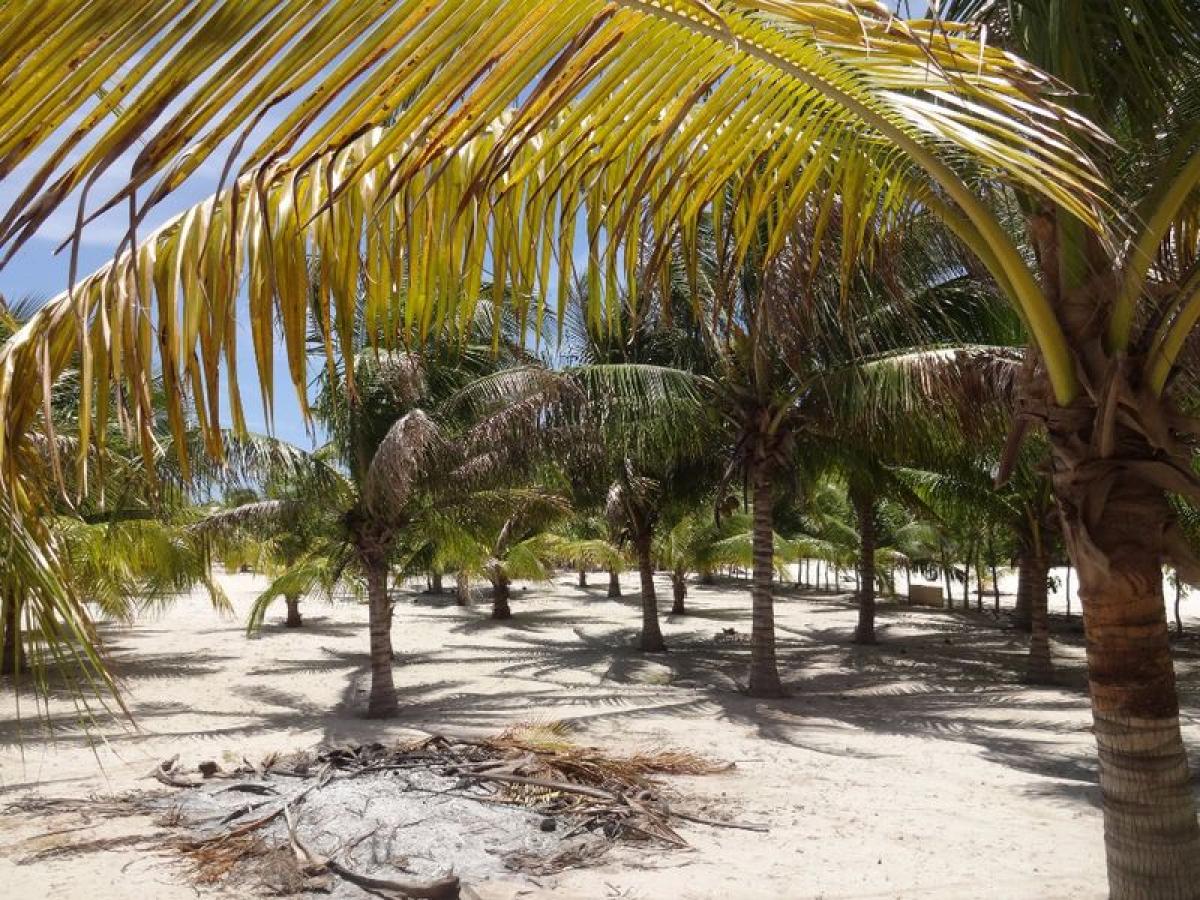 Picture of Residential Land For Sale in Telchac Puerto, Yucatan, Mexico