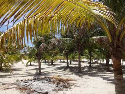 Residential Land For Sale in Telchac Puerto, Mexico