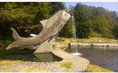 Home For Sale in Amanalco, Mexico