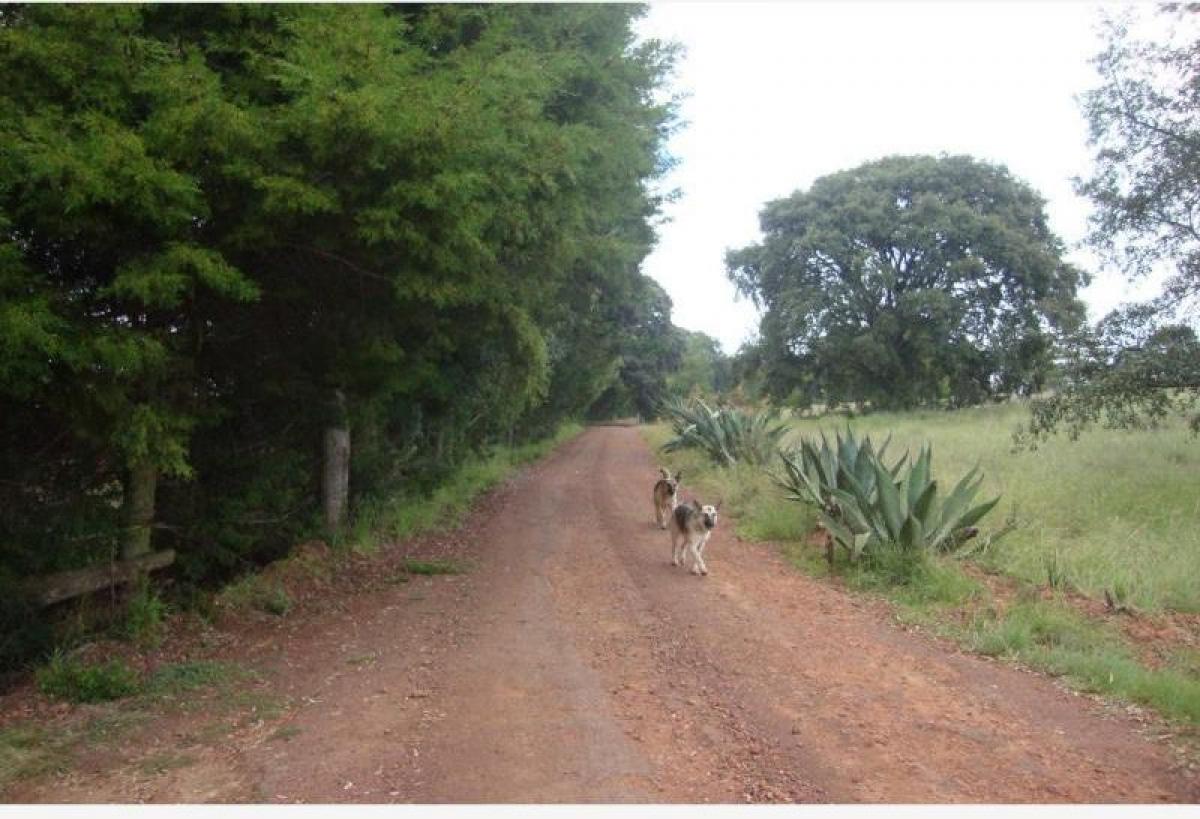 Picture of Home For Sale in Amealco De Bonfil, Queretaro, Mexico