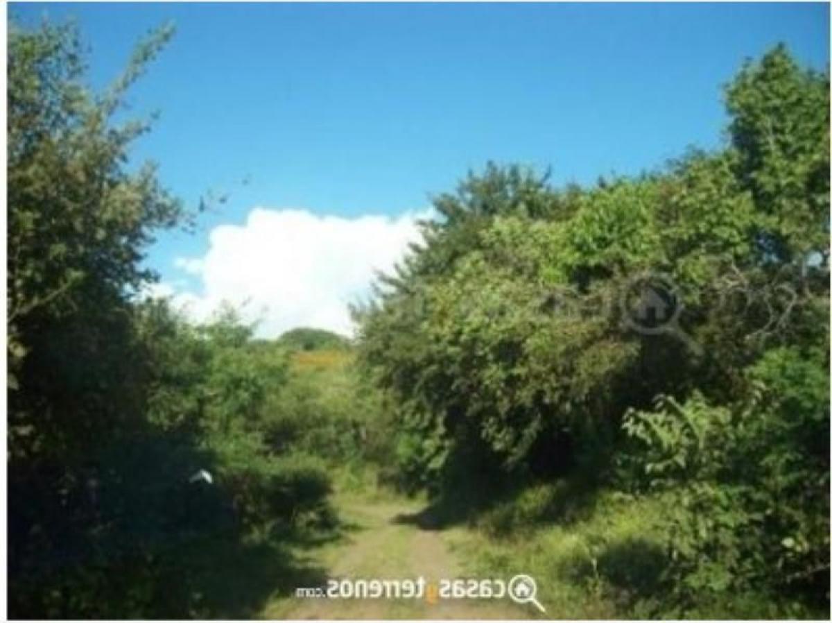Picture of Residential Land For Sale in Ixtlahuacan Del Rio, Jalisco, Mexico