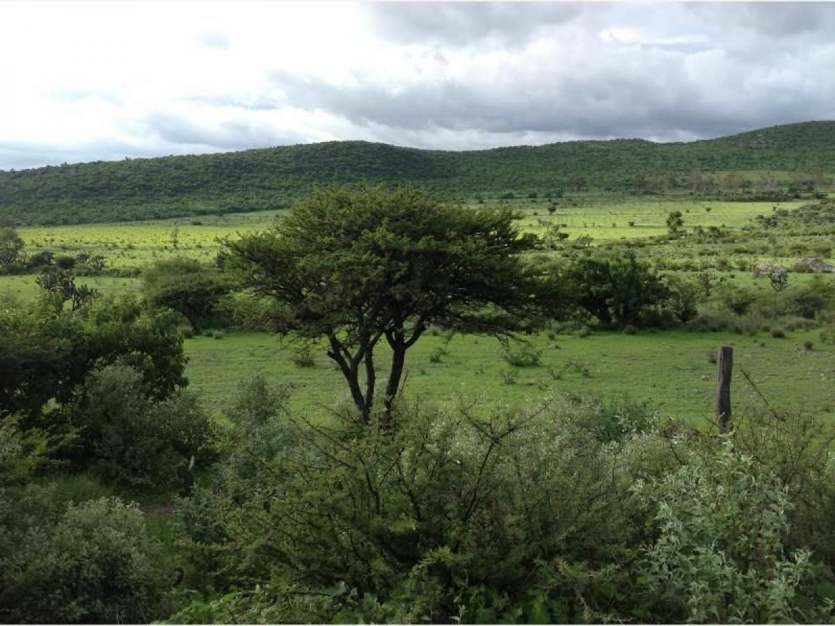 Picture of Residential Land For Sale in Huimilpan, Queretaro, Mexico