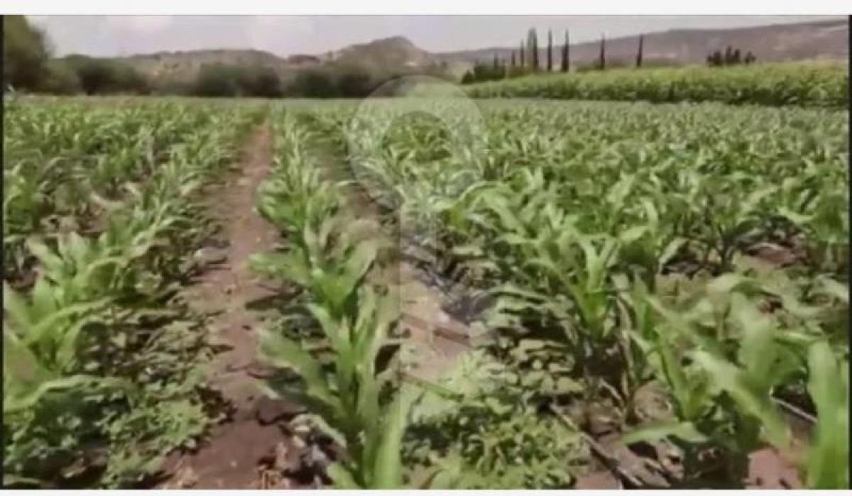 Picture of Home For Sale in Cadereyta De Montes, Queretaro, Mexico