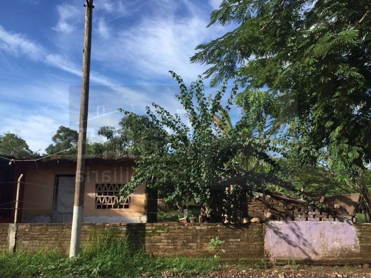 Picture of Residential Land For Sale in Ruiz, Nayarit, Mexico