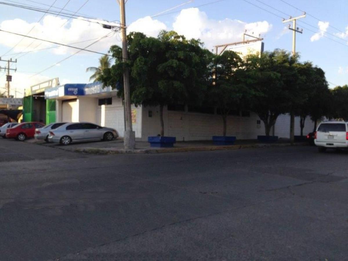 Picture of Penthouse For Sale in Sinaloa, Sinaloa, Mexico