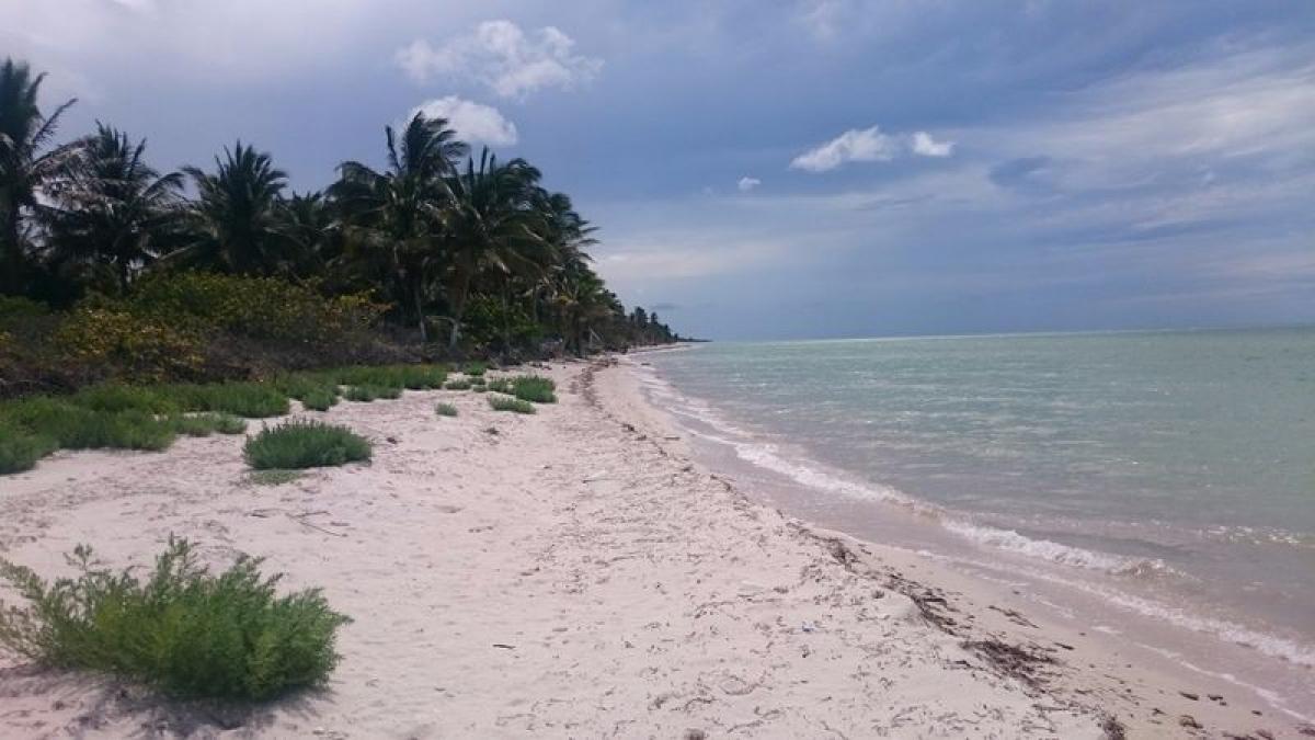 Picture of Residential Land For Sale in Telchac Puerto, Yucatan, Mexico