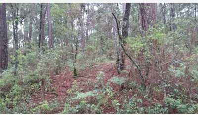 Residential Land For Sale in Mazamitla, Mexico