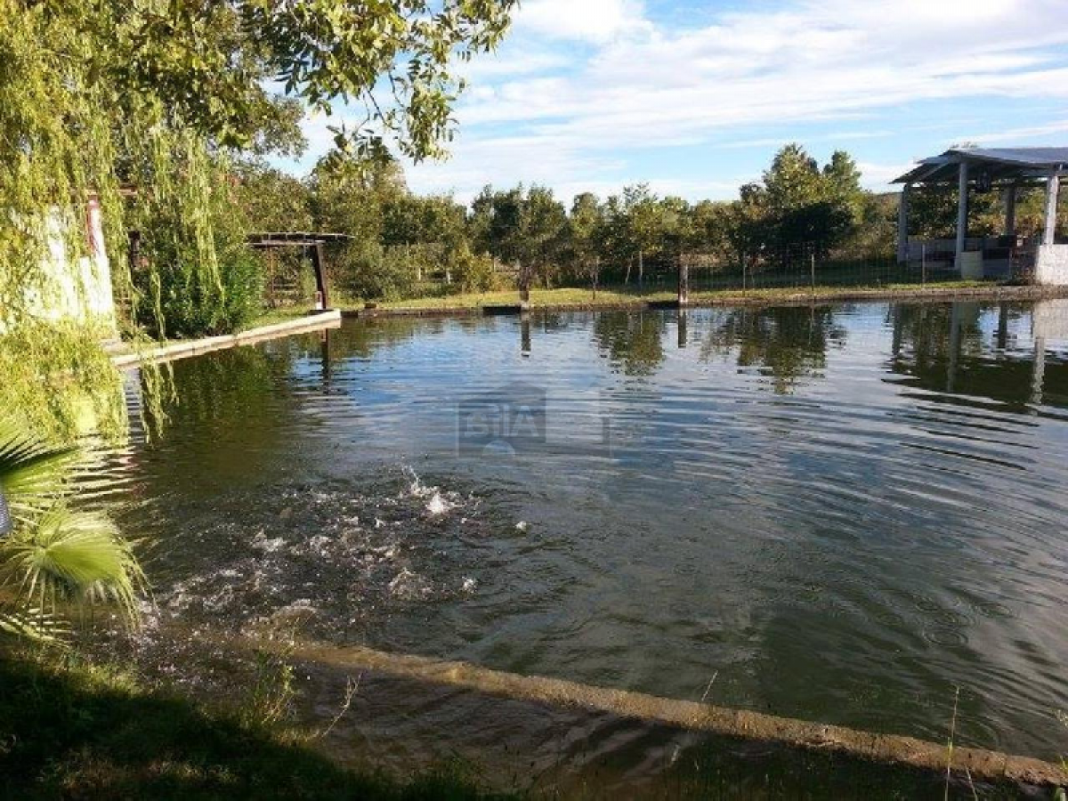 Picture of Residential Land For Sale in San Francisco De Conchos, Chihuahua, Mexico