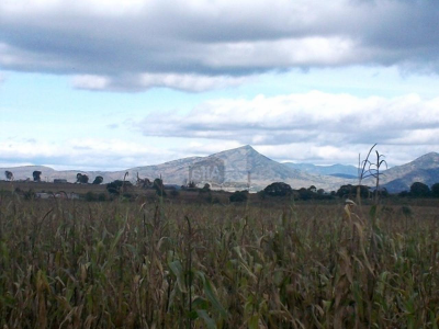 Residential Land For Sale in Soyaniquilpan De Juarez, Mexico