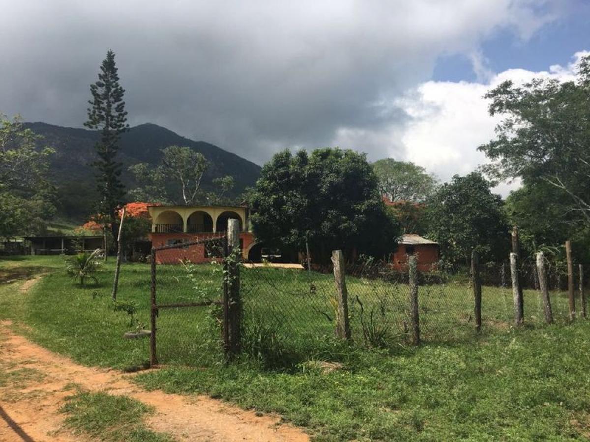 Picture of Development Site For Sale in Escuintla, Chiapas, Mexico