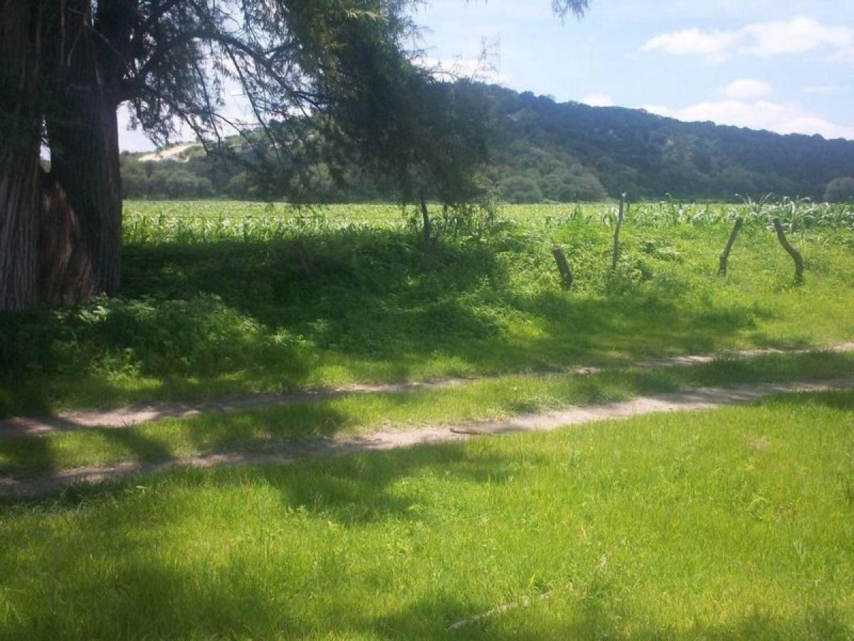 Picture of Residential Land For Sale in Teocaltiche, Jalisco, Mexico